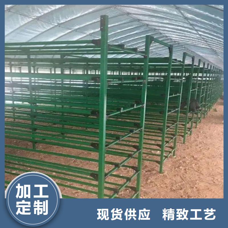 光明街道4分大棚骨架
