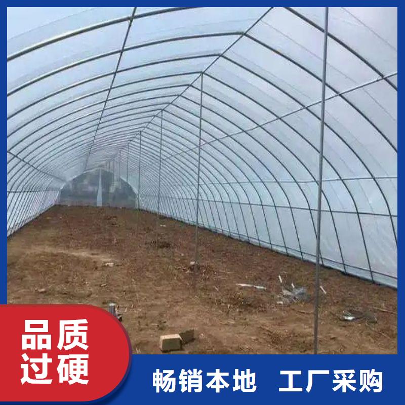 福保街道連棟大棚骨架管怎么
