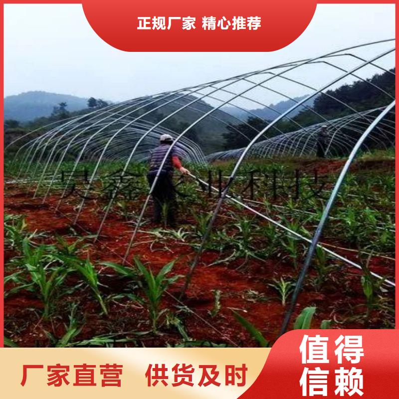 黔西縣黃瓜大棚骨架管