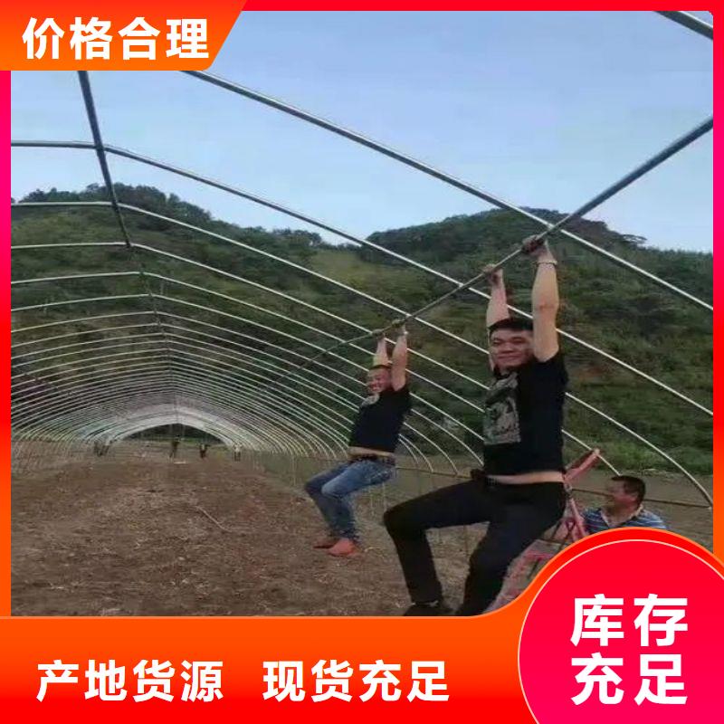 澗西區4分大棚管廠家