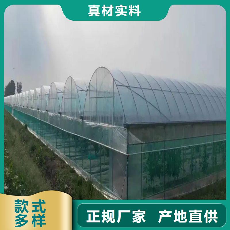 養雞大棚管價格