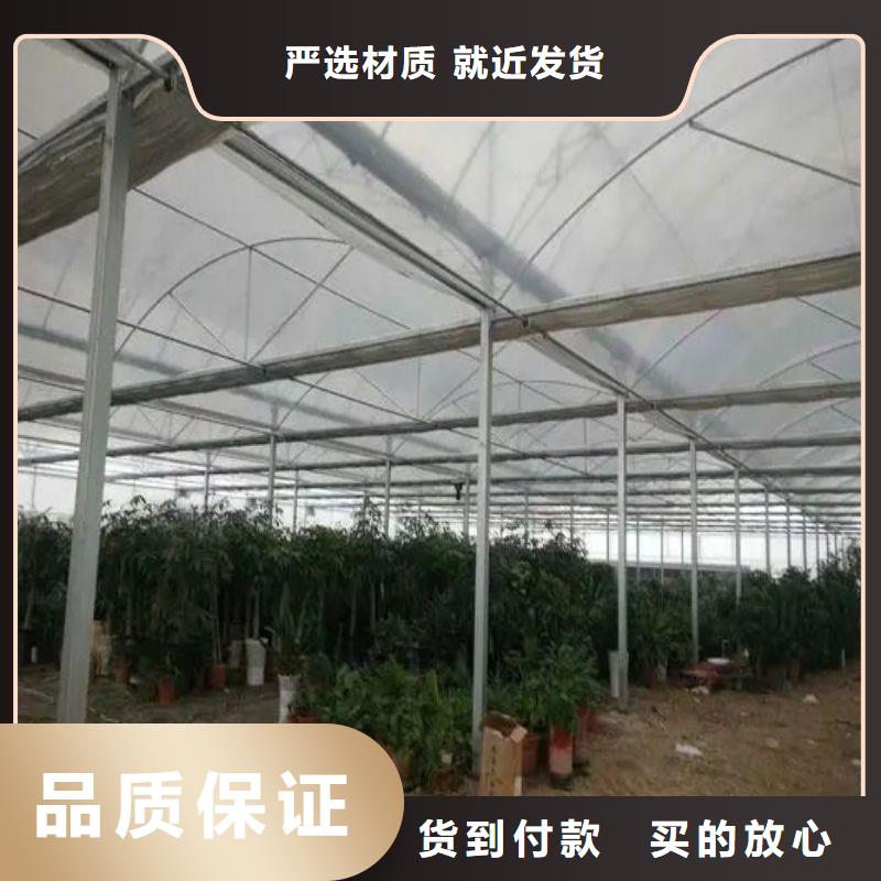蓬江區草莓大棚管價格