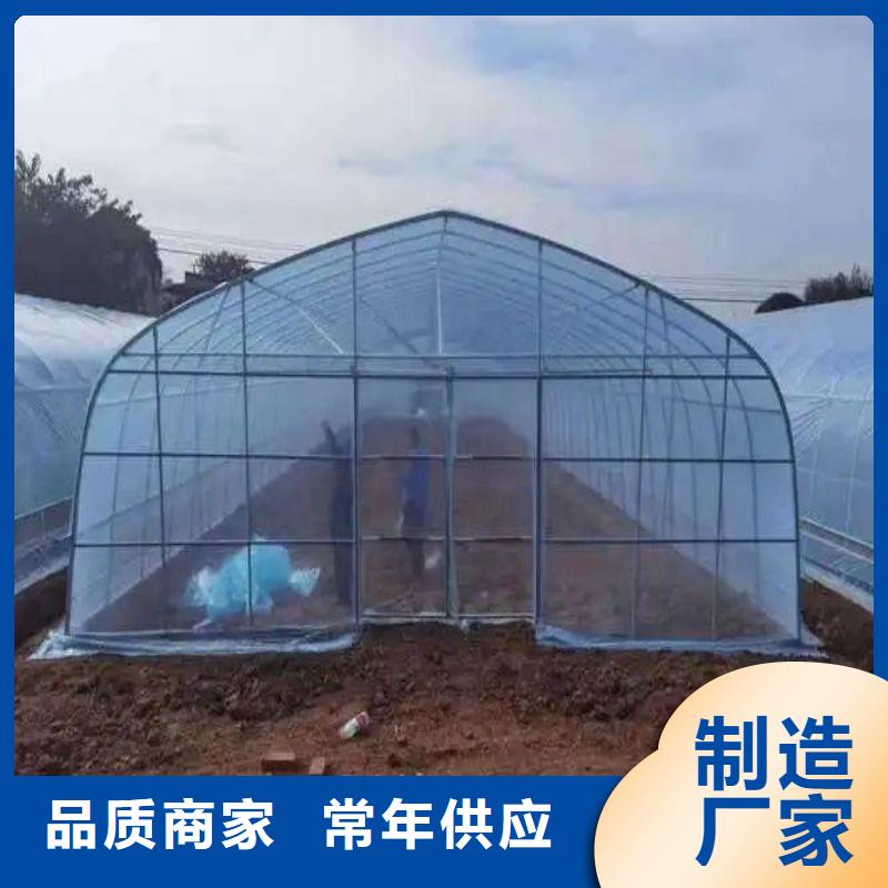 金浦街道玻璃溫室咋買