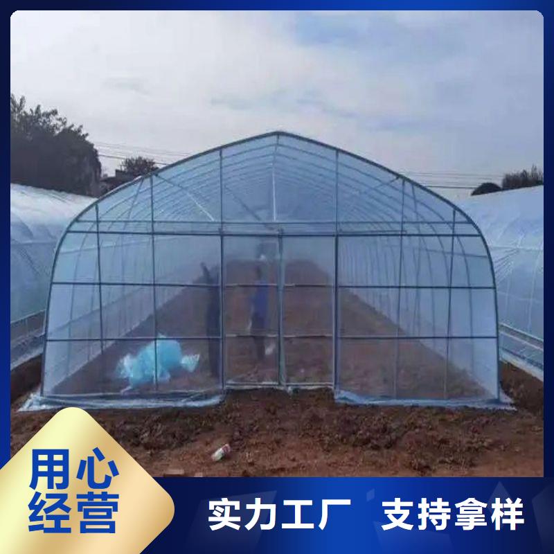 塔河縣草莓大棚管折彎