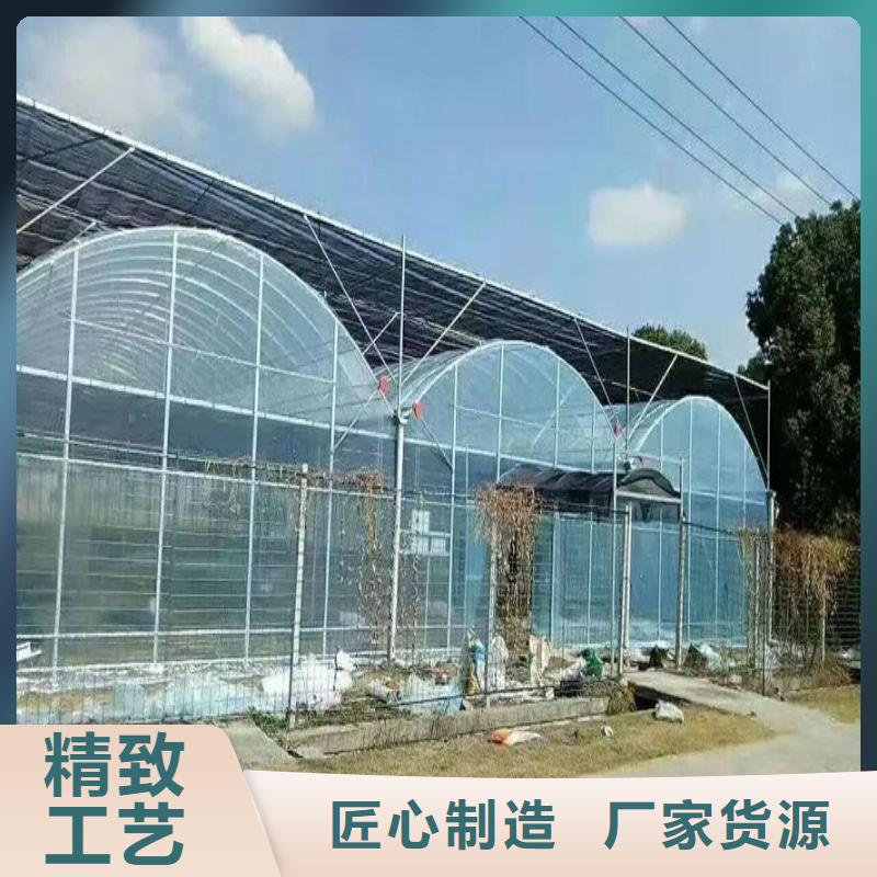 岳塘區(qū)養(yǎng)雞定尺大棚管