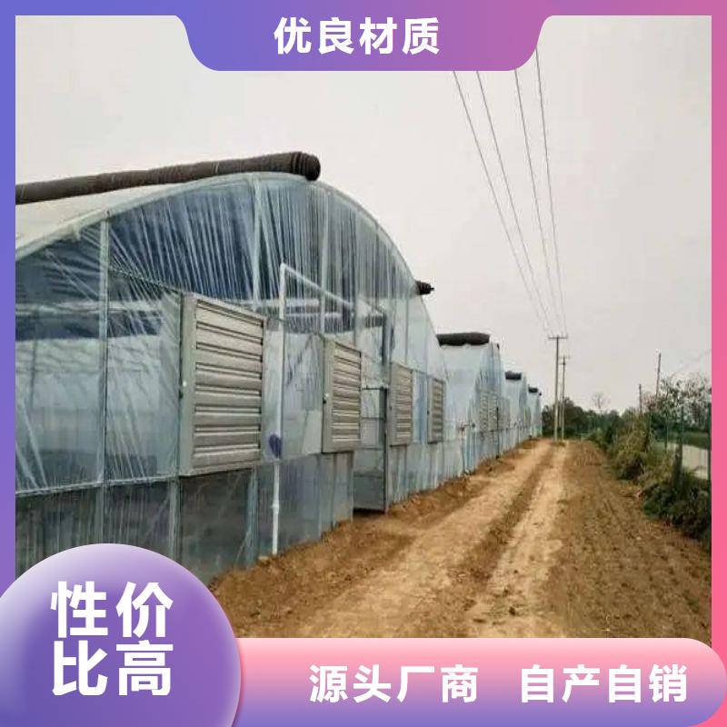 文登連棟大棚安裝視頻教程來圖定制2025