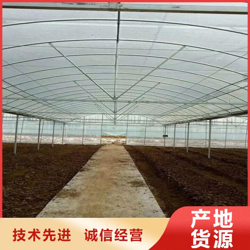 泰和連棟大棚安裝視頻教程購買2025