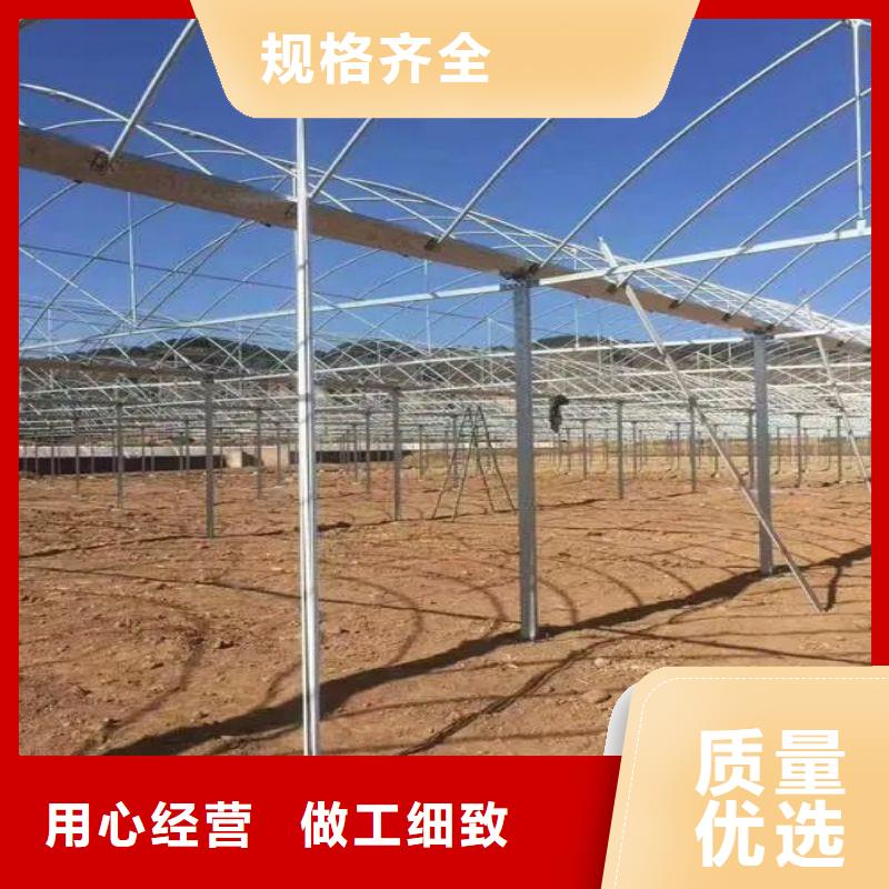 青州市簡易大棚管廠家