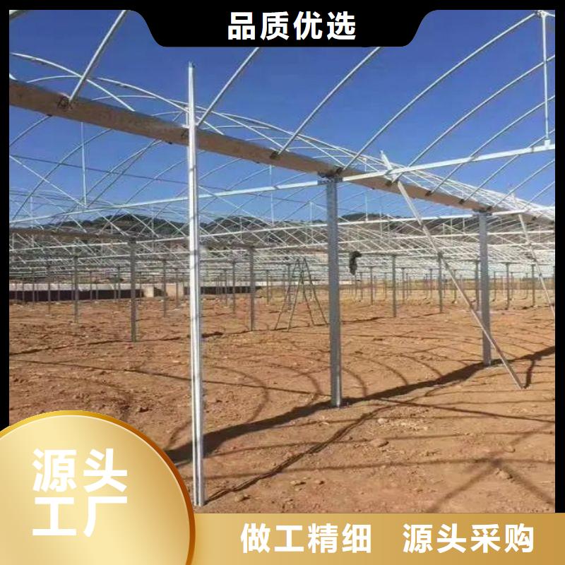 連體大棚用鍍鋅管 正規廠家