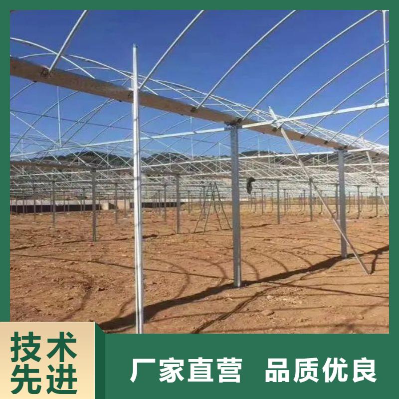 諸城市黃瓜大棚骨架管