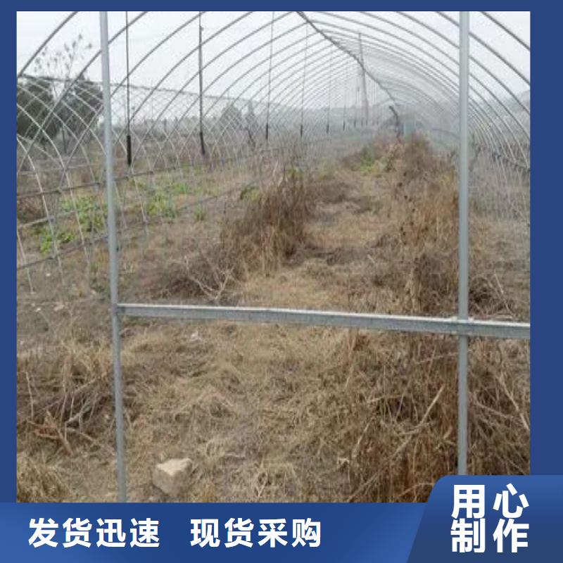 天心區(qū)622型大棚管現(xiàn)貨