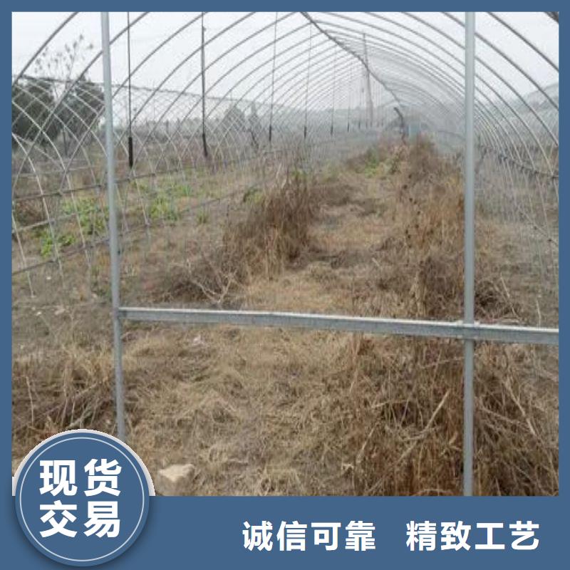6分25mm蔬菜大棚鋼管采購