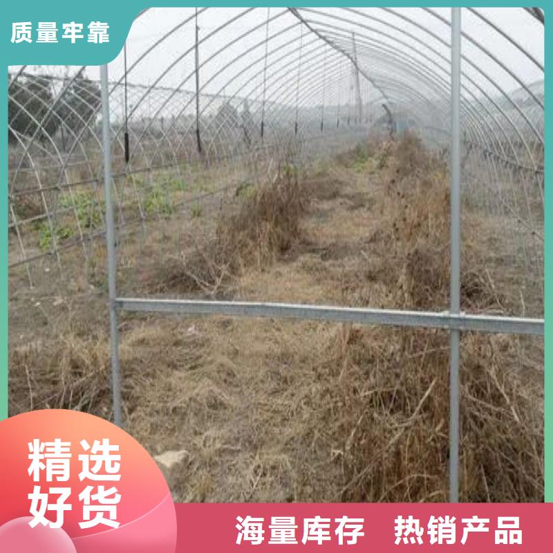 江汉区草莓大棚管价格