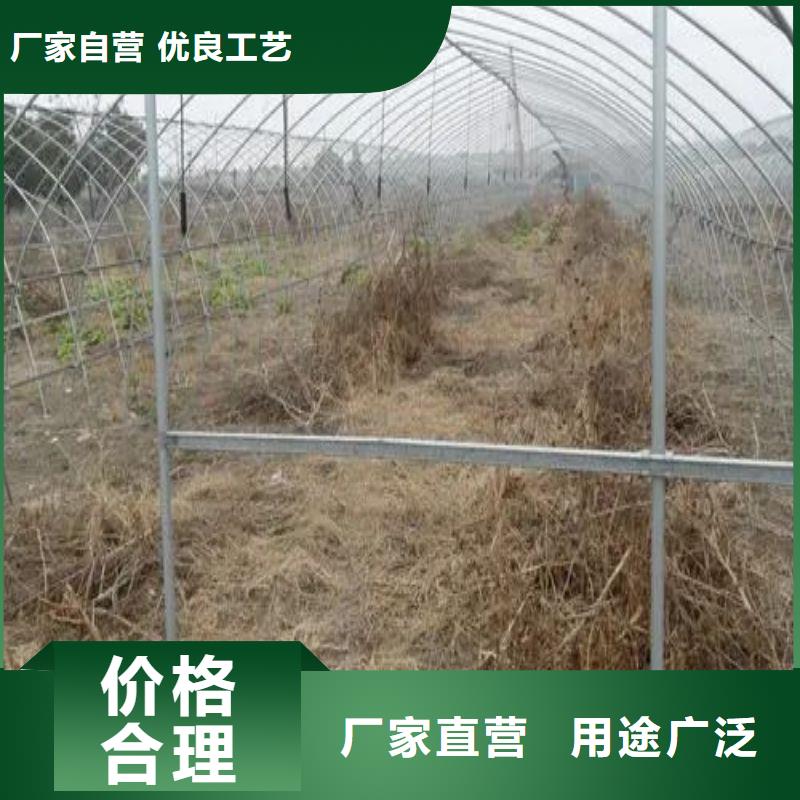 中英街管理局連棟大棚的優(yōu)缺點價格公道2025