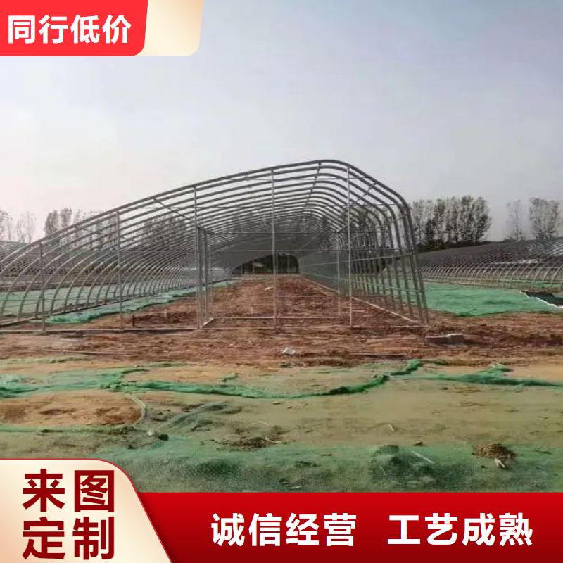 大棚管2連棟大棚管精心