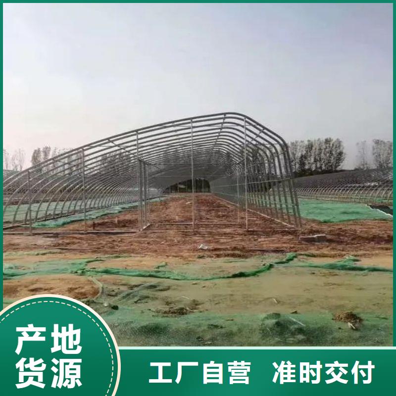 高陽連棟大棚廠家2025