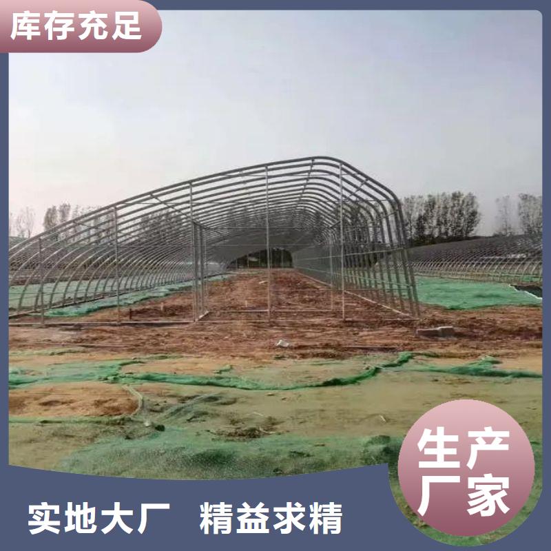 鳳縣養鵝大棚骨架用多大的鍍鋅鋼管