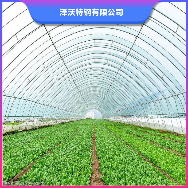 黔西縣黃瓜大棚骨架管