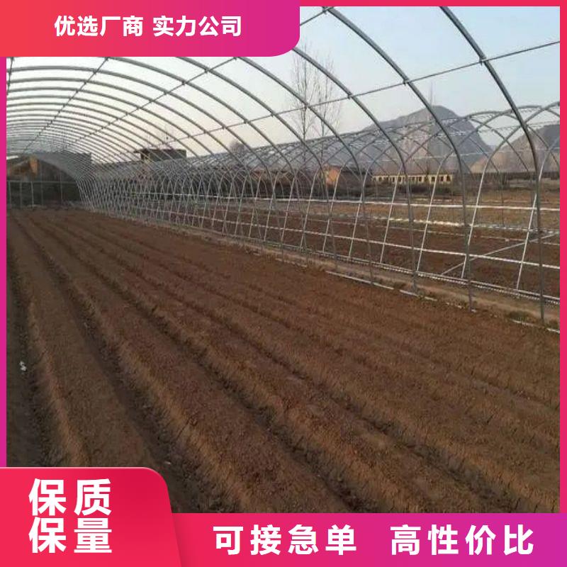 大棚管2大棚管N年大品牌