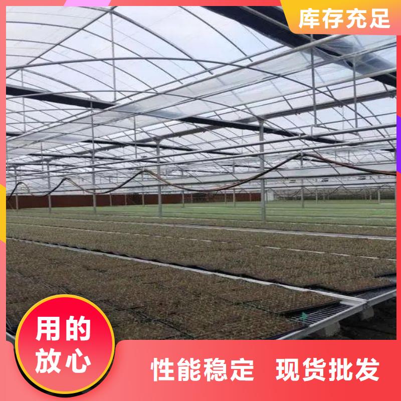 蓬江區草莓大棚管價格