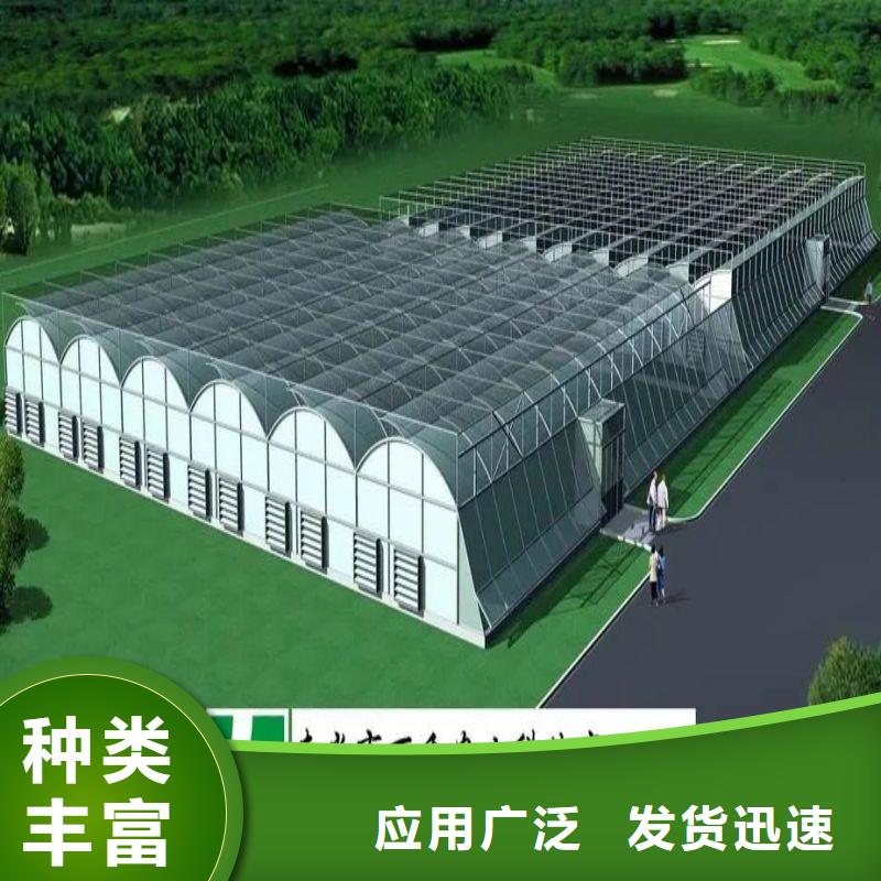 陸河樹苗大棚管現貨