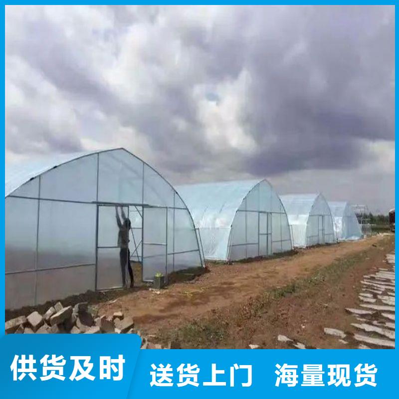 殷都連棟大棚造價多少一畝批發零售2025