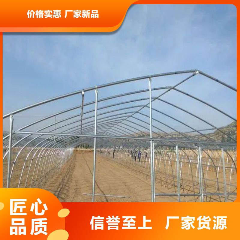 昌邑市西瓜大棚骨架