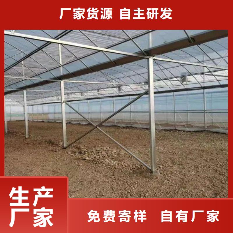 民勤縣溫室連棟大棚骨架價格行情