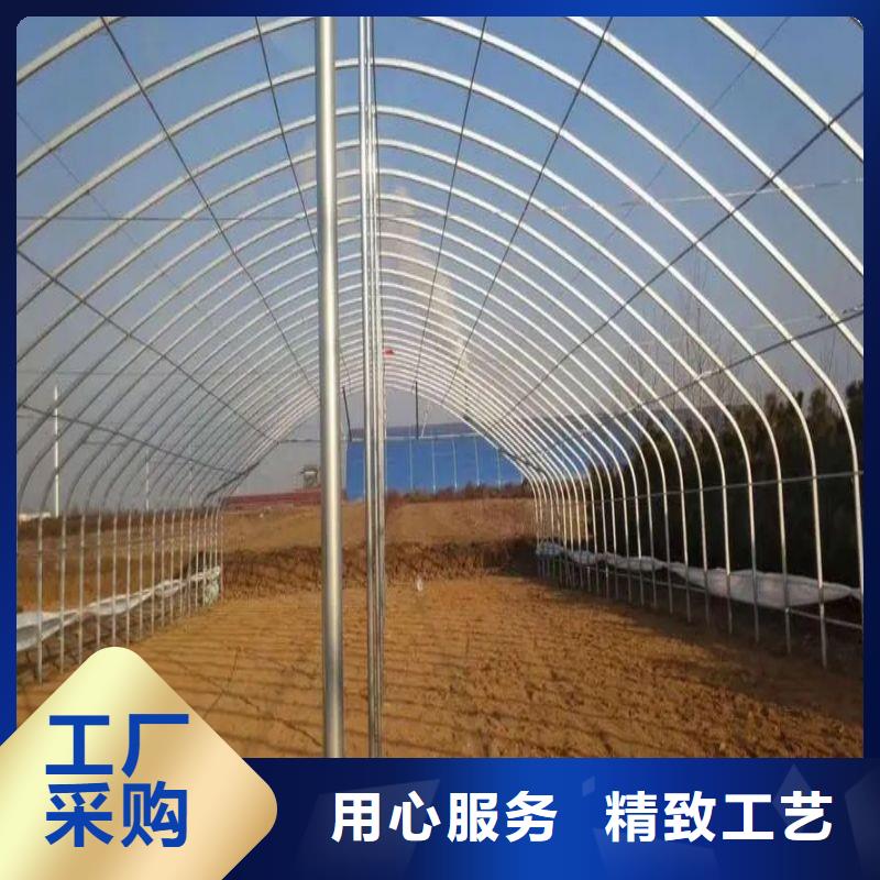 光明街道4分大棚骨架