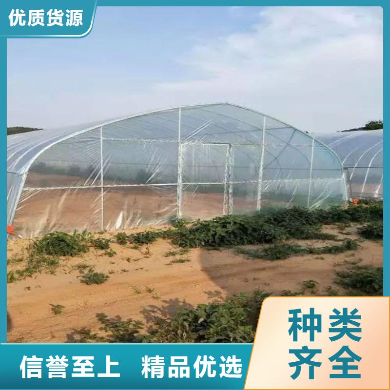 大棚管2,大棚管廠家助您降低采購成本