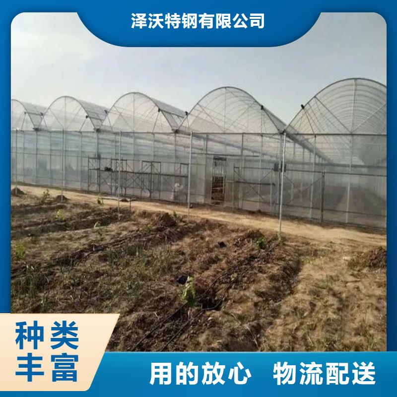 大棚管2溫室薄膜大棚質(zhì)量牢靠