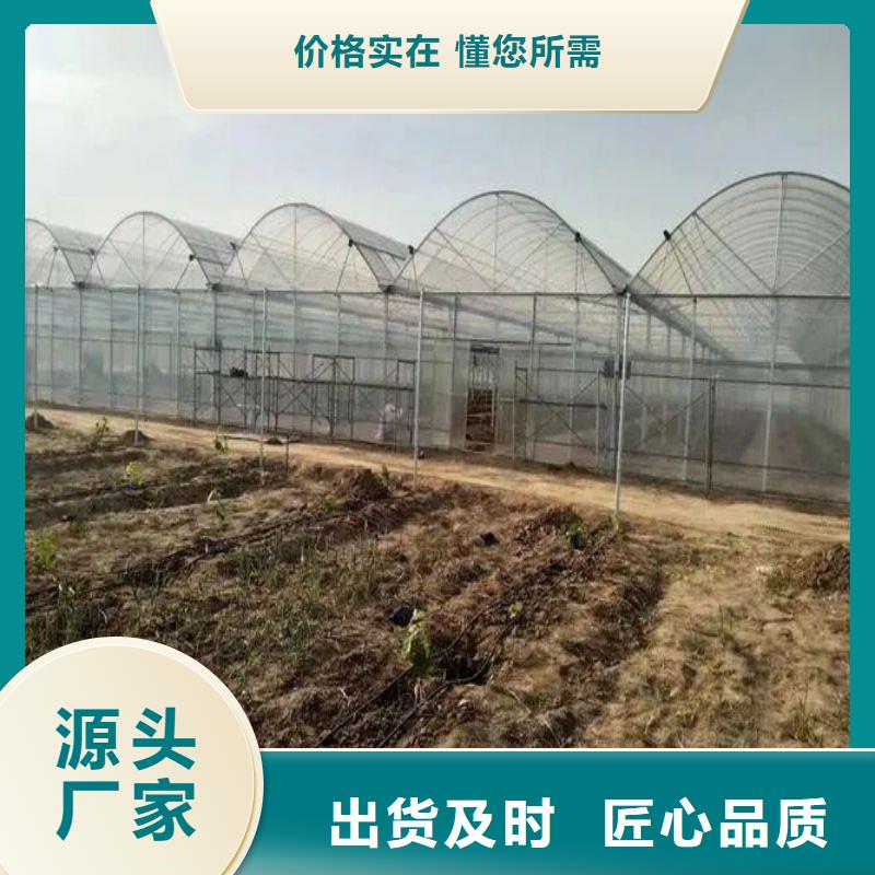 武城種植大棚銷售