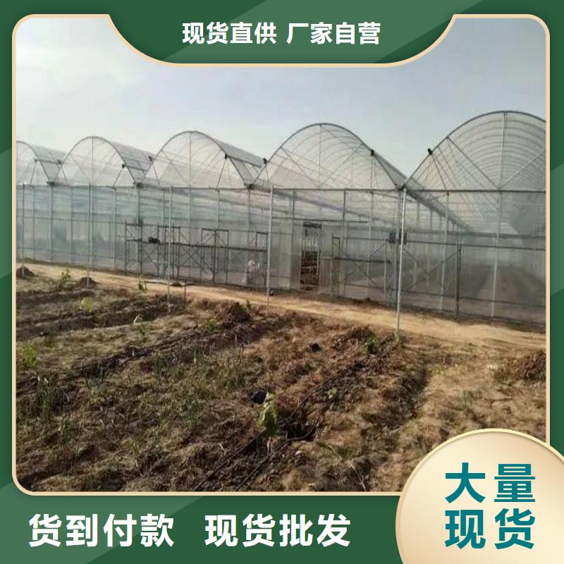 民勤縣溫室連棟大棚骨架價格行情