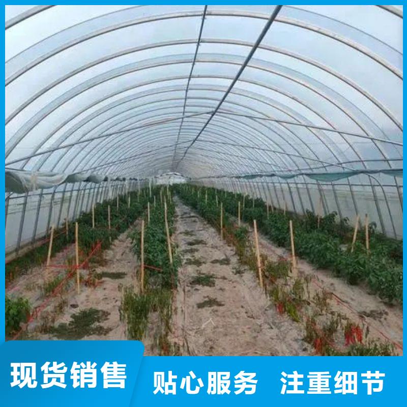 大棚管2智能溫室大棚全新升級品質保障