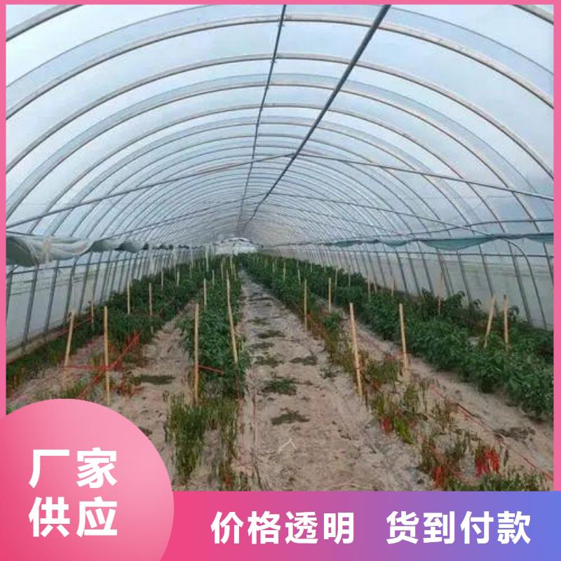 圓拱型大棚管折彎