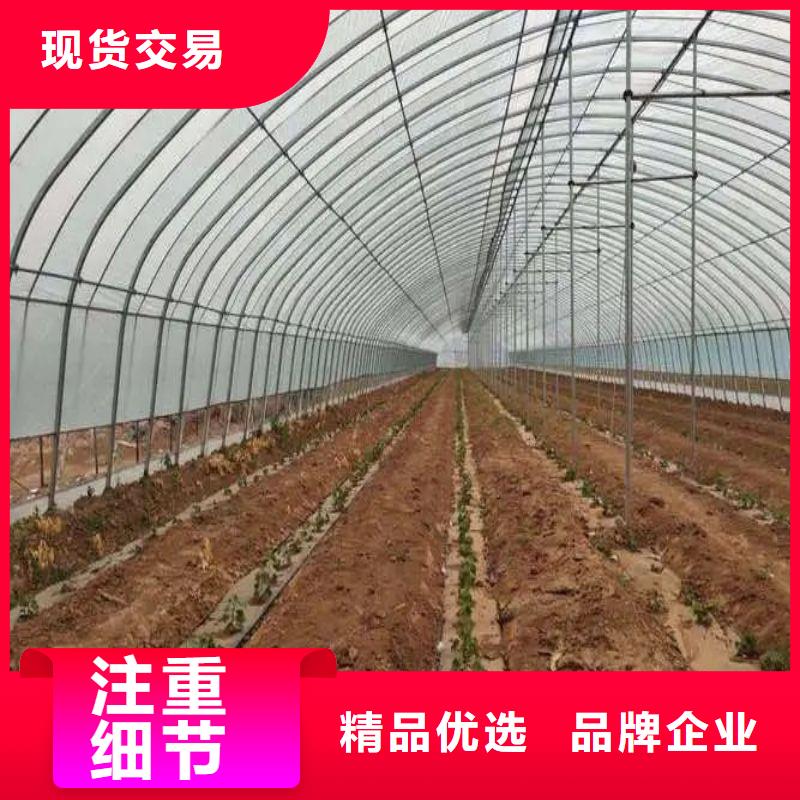 大棚管2 大棚管專注細(xì)節(jié)使用放心