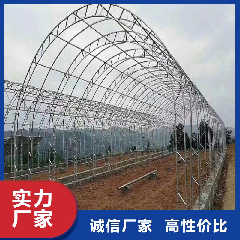 四方連棟大棚詢問報價2025