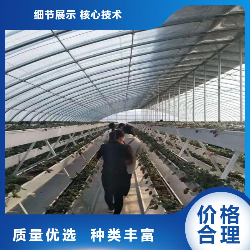 錫山區連棟大棚骨架管