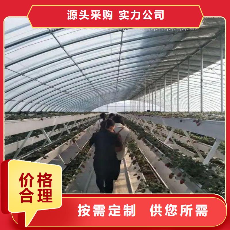 梁山縣熱鍍鋅大棚管介紹