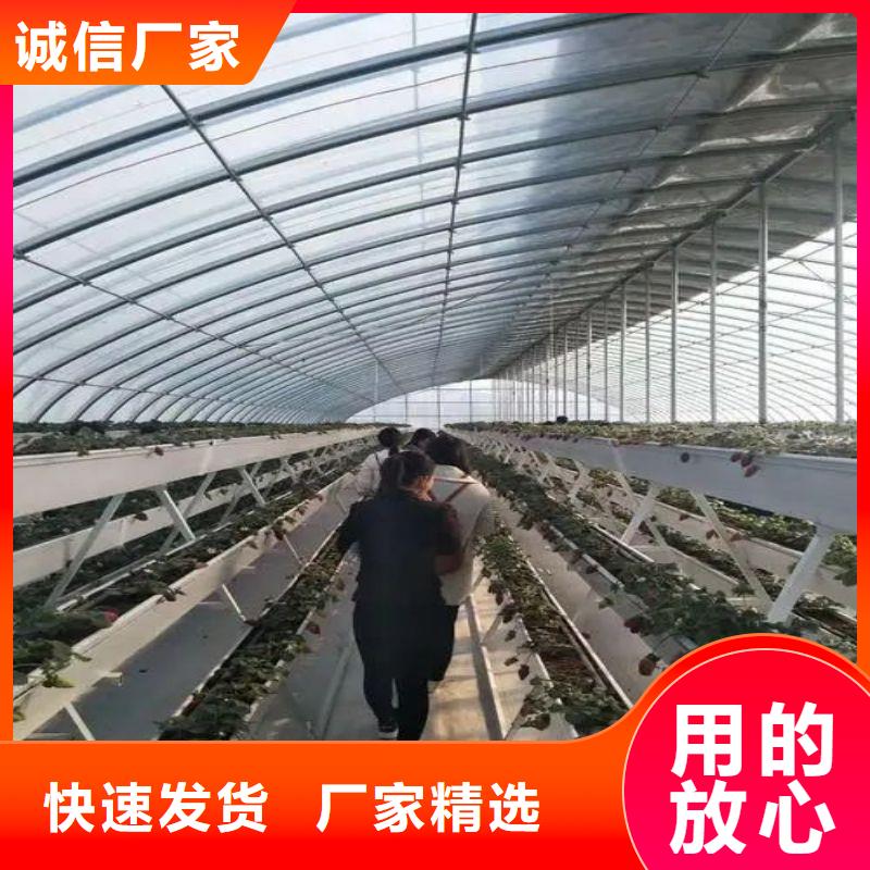 大棚管2-農業養殖大棚管合作共贏