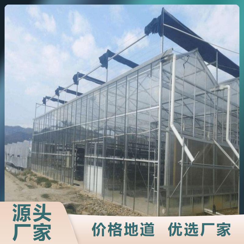 臨洮玻璃連棟大棚價格公道2025