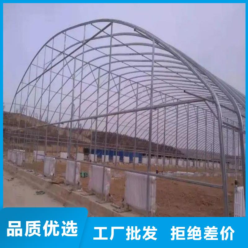 雄縣蔬菜連棟大棚鋼管怎么賣
