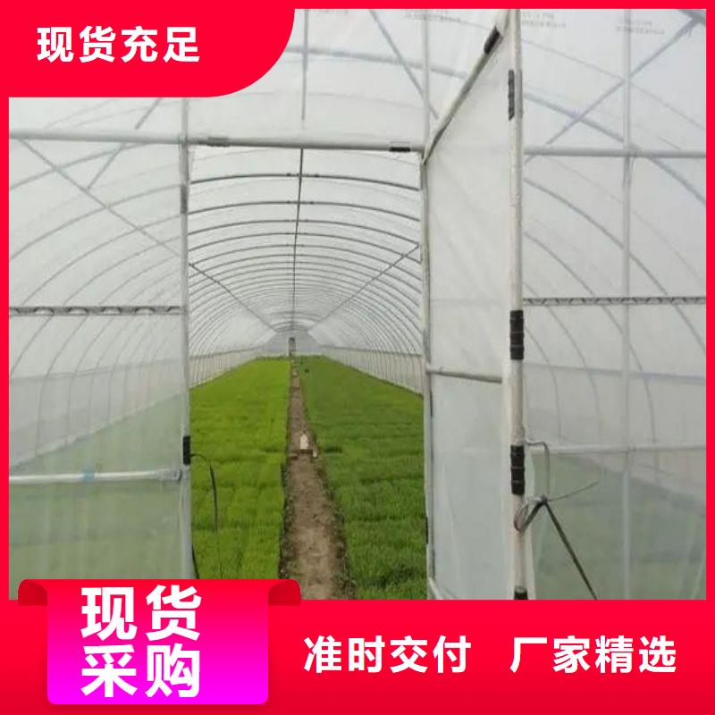 南沙區(qū)農(nóng)用大棚管廠家