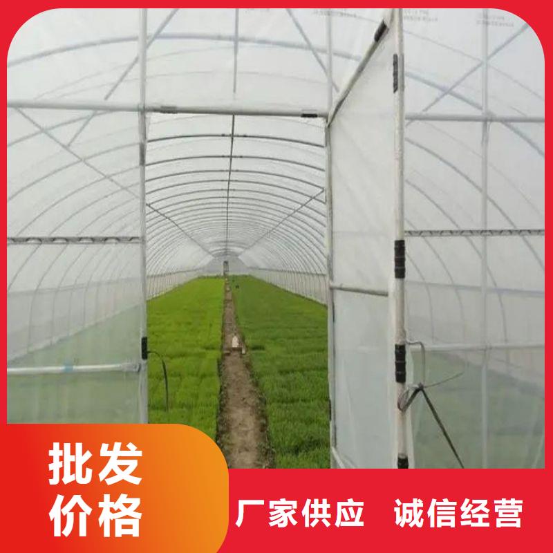 岳塘區(qū)養(yǎng)雞定尺大棚管