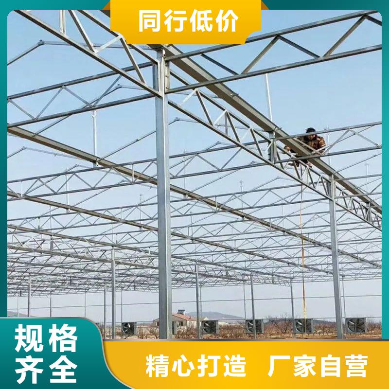 觀湖街道苗床下單