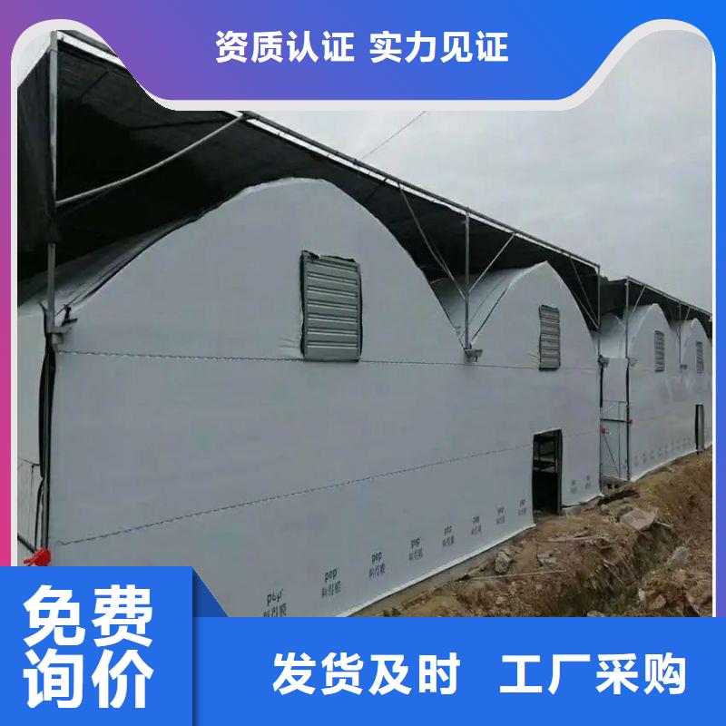 平武縣西瓜大棚骨架