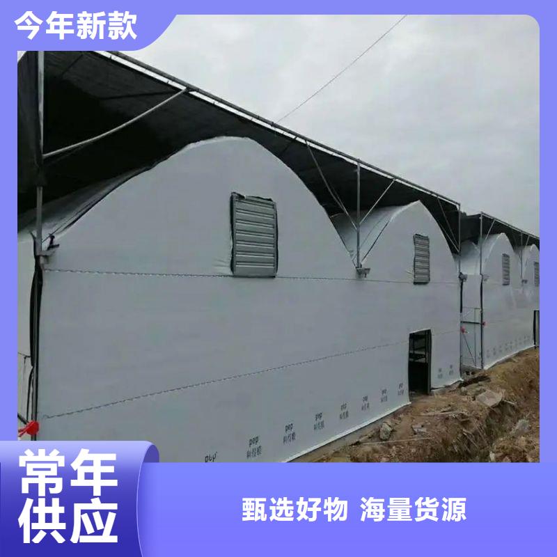 東方街道連體大棚用鍍鋅管聯(lián)系電話