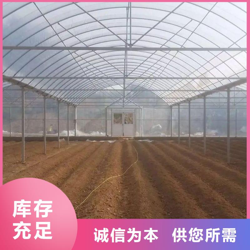 雄縣蔬菜連棟大棚鋼管怎么賣