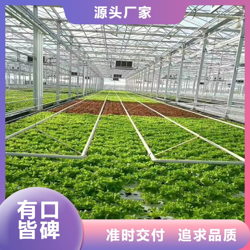 蓮池連棟大棚種植購買2025