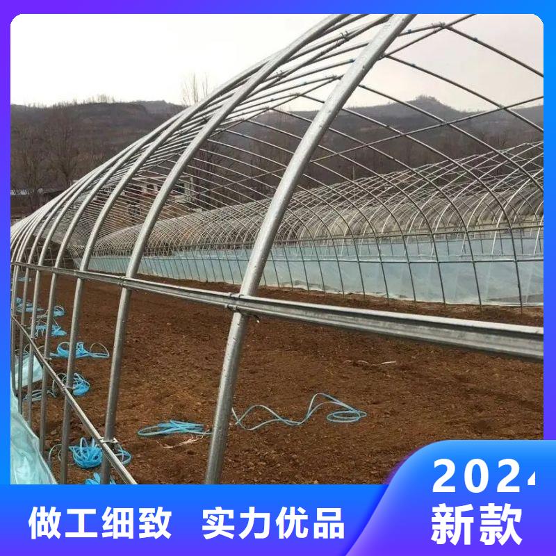 隴西縣西瓜大棚骨架